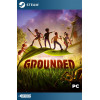 Grounded Steam